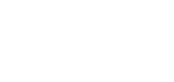 Boötes Void